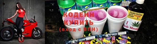 СК Горнозаводск