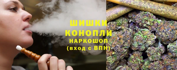 СК Горнозаводск