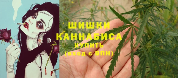 СК Горнозаводск